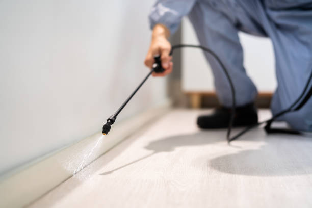 Bed Bug Pre-Treatment Preparation Assessment in Newman