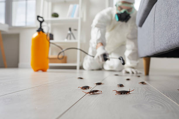Post-Treatment Bed Bug Interceptor Monitoring in Newman
