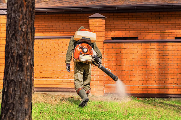 Bed Bug Clearance Verification and Documentation in Newman